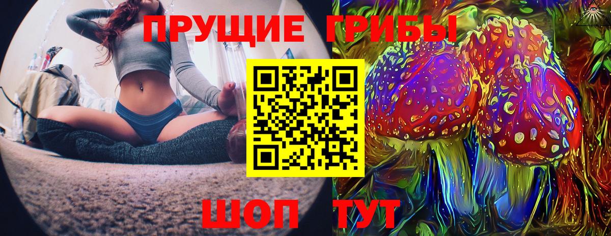 Псилоцибиновые грибы Cubensis Щёлково