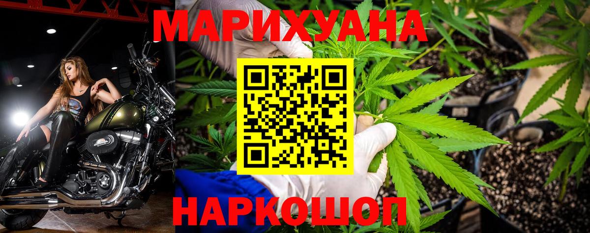 Бошки Шишки марихуана Щёлково